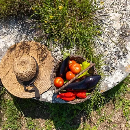 Chamaloni * Finikounta