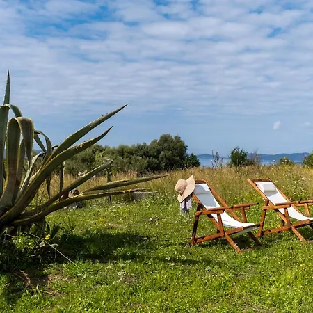 Feriehus Chamaloni Finikounta