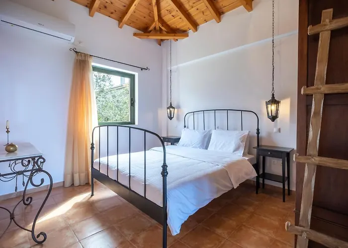 Chamaloni Finikounta