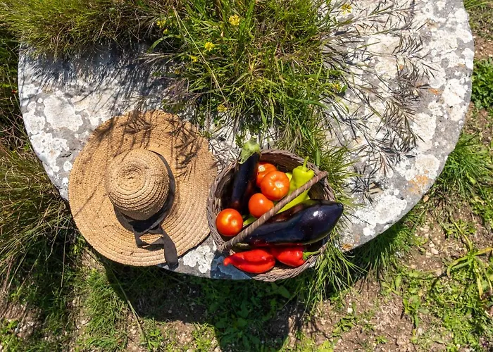 Chamaloni * Финикунда