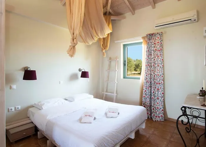 Chamaloni Финикунда